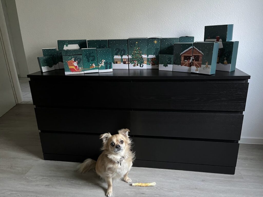kleiner Hund sitzt vor einer schwarzen Kommode, auf dem der Adventskalender aufgebaut ist